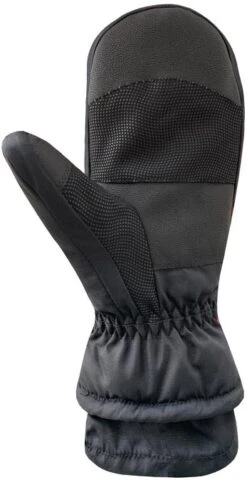 Auclair Jigsaw Ski Glove