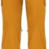 686 Smarty Cargo Snowboard Pant - Womens 2022 -Ski Gear Store 6250729M1W405 GOLDENBROWN 3