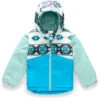 The North Face Snowquest Insulated Ski Jacket - Toddler 2020 -Ski Gear Store max 1202363 nf0a3cvx fw9 hero tood snowquest geo