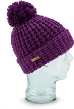 Coal The Kate Beanie