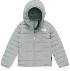 The North Face ThermoBall Hoodie - Toddler 2020