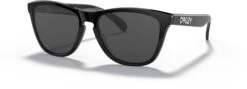 Oakley Frogskins Sunglasses 2021
