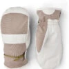 Hestra Voss CZone Ski Mitt -Ski Gear Store max 4303902 31521 650 1